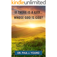 If There Is A God, Whose god is God?: An easy-to-read analysis that looks at the FACTS book cover