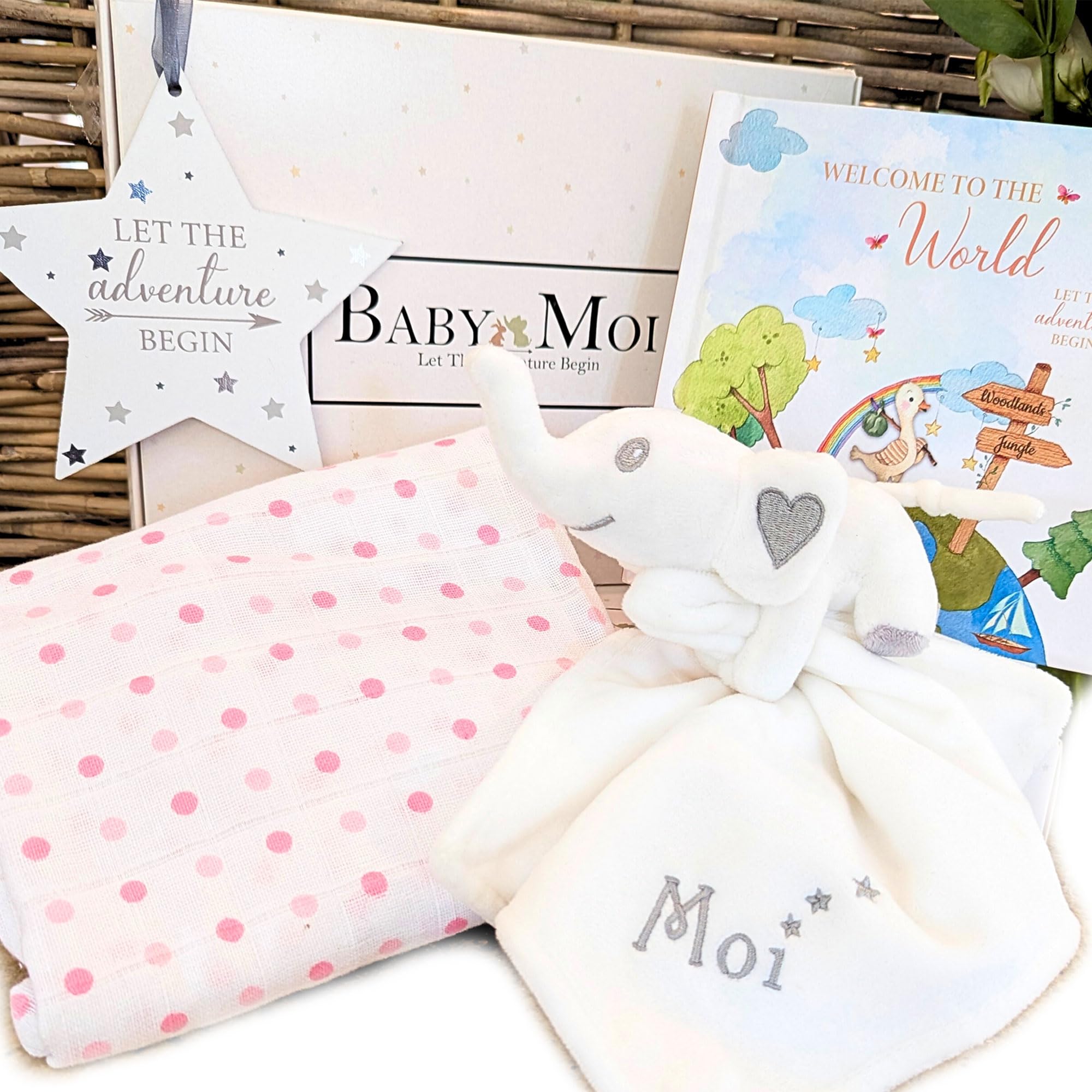 Baby Girl Gifts 4 Piece Welcome to The World Keepsake Baby Gifts for New Born Baby Girl & New Parents with Keepsake Book, Soft Elephant Comforter, Muslin Cloth, Nursery Plaque, Pink Gift Box Set