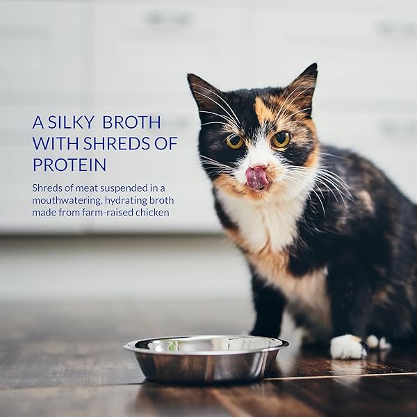 INABA CHURU BROTH FOR CATS, CREAMY BROTH WITH SHREDDED CHICKEN SIDE DISH POUCH, 1 OUNCE PER POUCH, 5 POUCHES, CHICKEN & TUNA VARIETY PACK