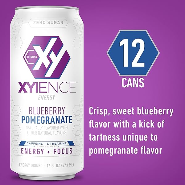 XYIENCE BLUEBERRY POMEGRANATE ENERGY DRINK, 16 FL OZ CAN (PACK OF 12)