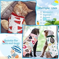 3 Pieces Cat Recovery Suit Kitten Recovery Suit