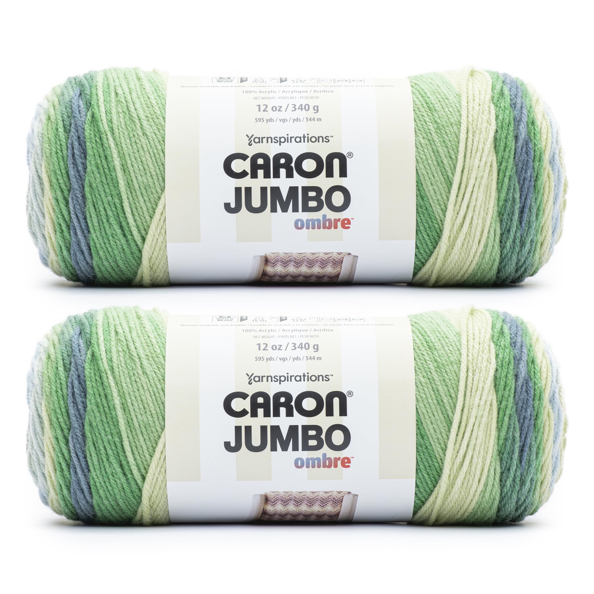 Caron Jumbo Ombre Yarn, 2 Pack, Lake Mist