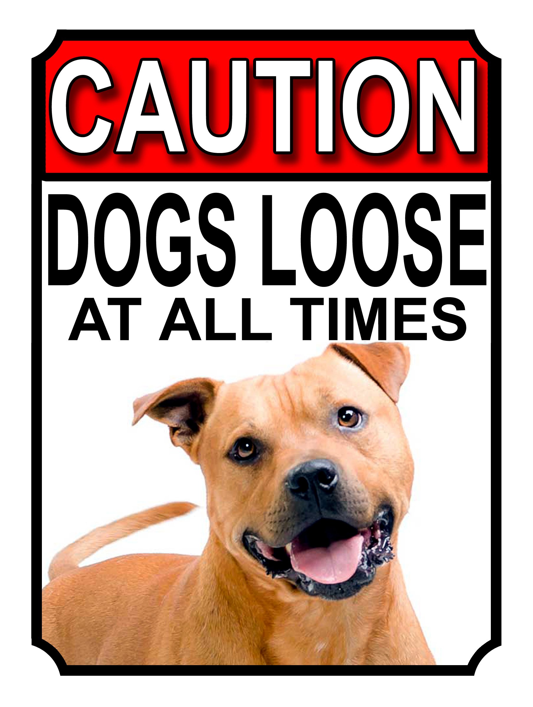 Shawprint Limited CAUTION DOGS LOOSE AT ALL TIMES METAL GATE SIGN AMERICAN PIT BULL 200MM X 150MM (1170H1) — image 1