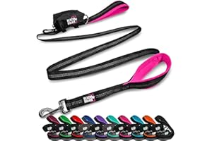 Black Rhino Heavy Duty Dog Leash for Medium and Large Dogs - 6 ft Long Double Handle Leash with Padded Traffic Control Handles and Bag for Comfort - Reflective, Durable, and Weather Resistant (Pink)