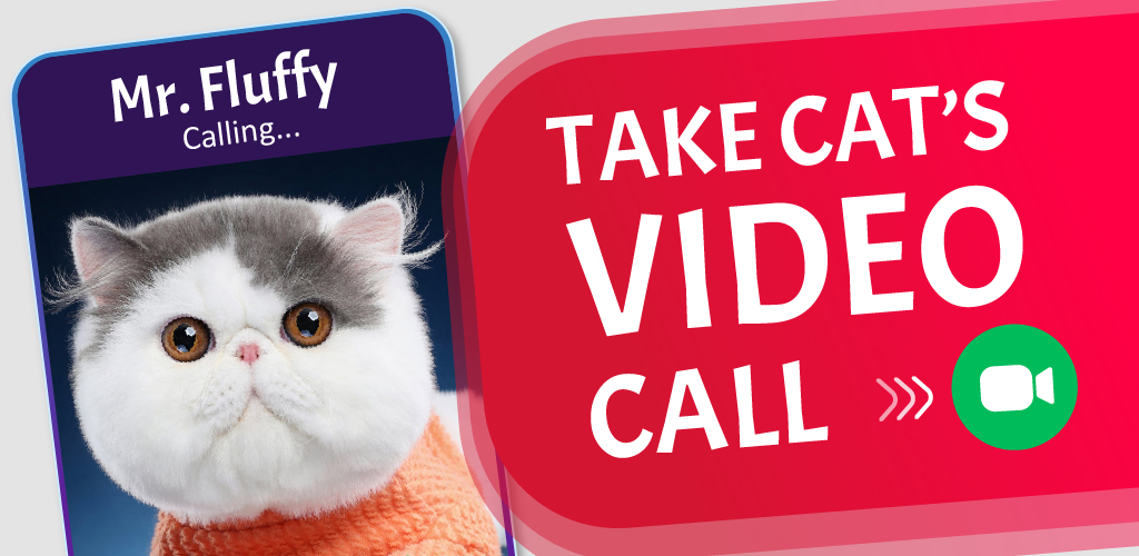 Cat's Video Calls and Chat Pricepulse