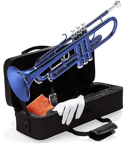 Amazon.com: LJ Hutchen Bb Trumpet with Plush-Lined Case : Musical