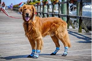 Bark Brite Lightweight Neoprene Paw Protector Dog Boots Designed for Comfort and Breathability in 5 Sizes (Blue Lg)