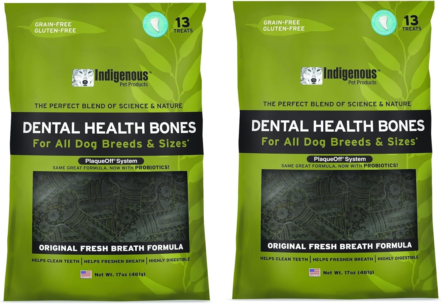 indigenous dental health bones