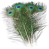 Piokio 10 pcs Peacock Feathers in Bulk 16-18inch(40-45 cm) Bulk for DIY Craft Vase Wedding Home Party Christmas Day Decoration