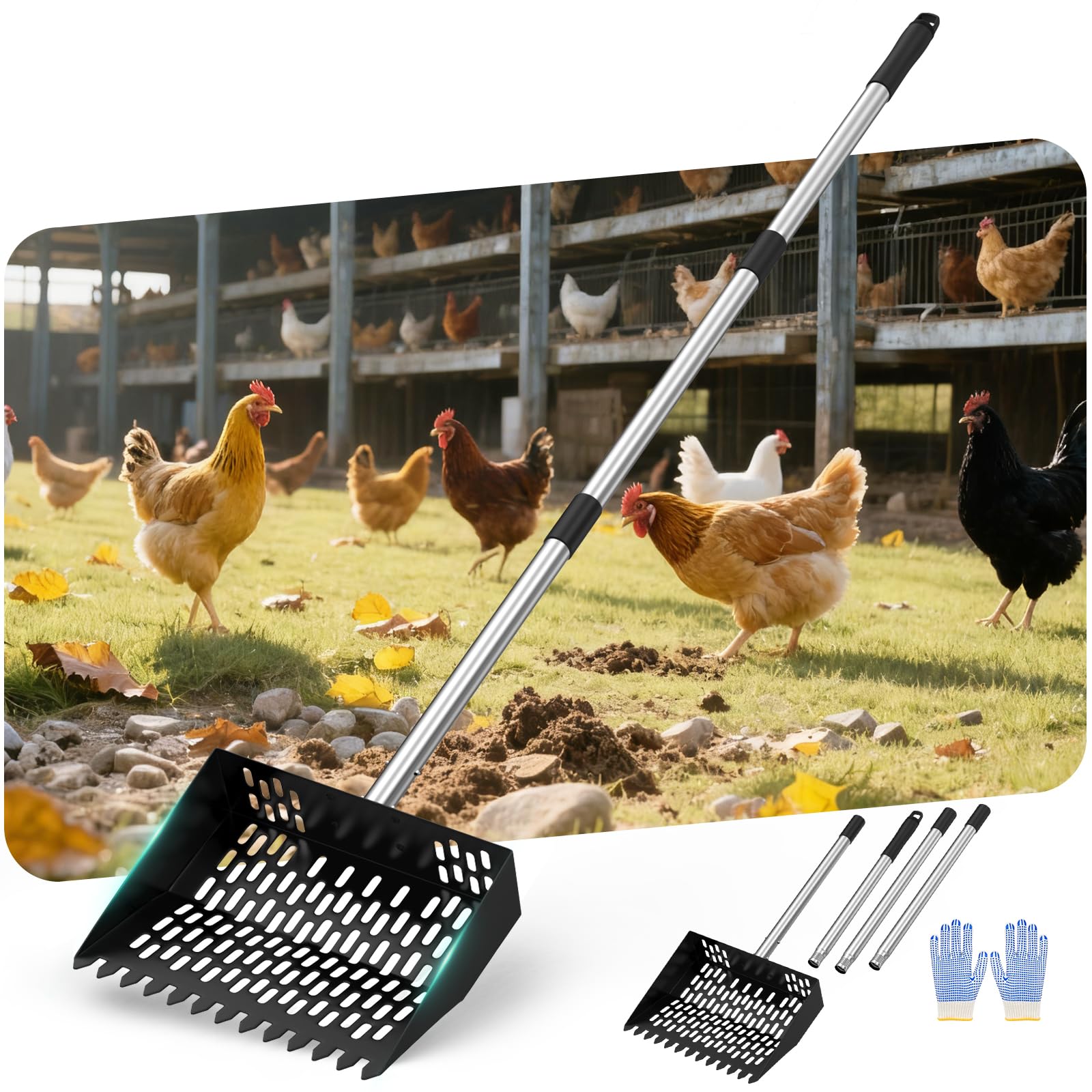 Photo 1 of Chicken Poop Scooper for Sand,Coop Scoop 3 IN 1 Rake Function?Fine Sieve Holes??Adjustable Stainless handle 24 to 68"?Metal Cat Litter Scoop, No Hole Shovel Side Scooper Chicken Poop Scooper for Sand