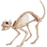 Crazy Bonez Skeleton Cat
