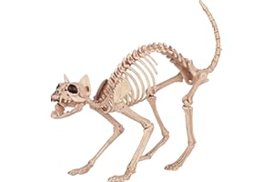 Crazy Bonez Skeleton Cat