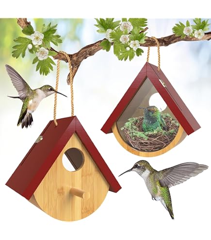 Gute Casas De Colibrí De Madera Para Colgar En El Exterior, | Meses sin