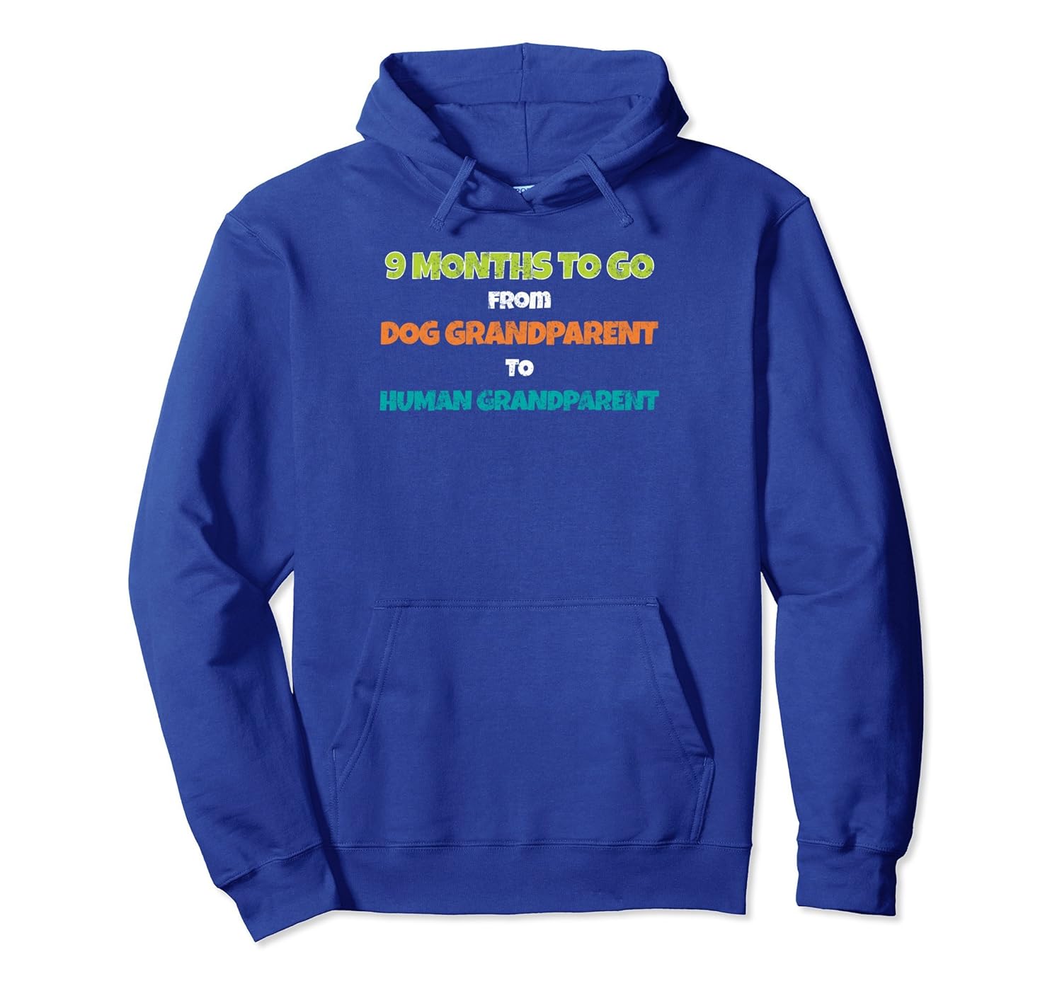 Dog Grandparent Pregnancy Baby Distressed Hoodie-anz