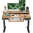 FEZIBO Height Adjustable Electric Standing Desk with 4 Drawers and Keyboard Tray, 48 x 24 Inch Table with Storage Shelf, Sit Stand Desk with Splice Board, Rustic Brown