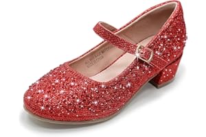 WIKENCY Girls Dress Shoes Mary Jane Low Heel Princess Flower Wedding Flats Glitter Shoes for Toddler/Little Kid/Big Kids