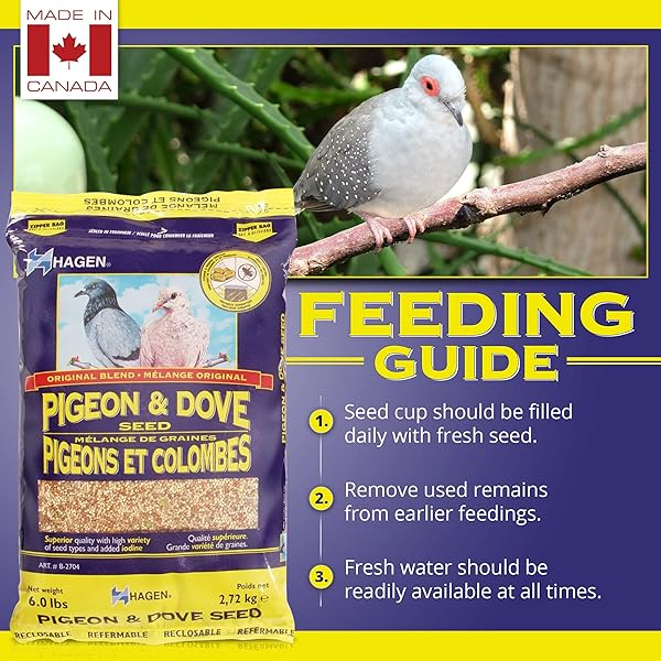 HAGEN PIGEON & DOVE SEED – ORIGINAL FORMULA BIRD FOOD, 6 LB BAG – NUTRITIONALLY COMPLETE SEED MIX WITH VITAMINS & MINERALS – WILD & CAPTIVE BIRD DIET – INSECT-RESISTANT AIR-TIGHT PACKAGING