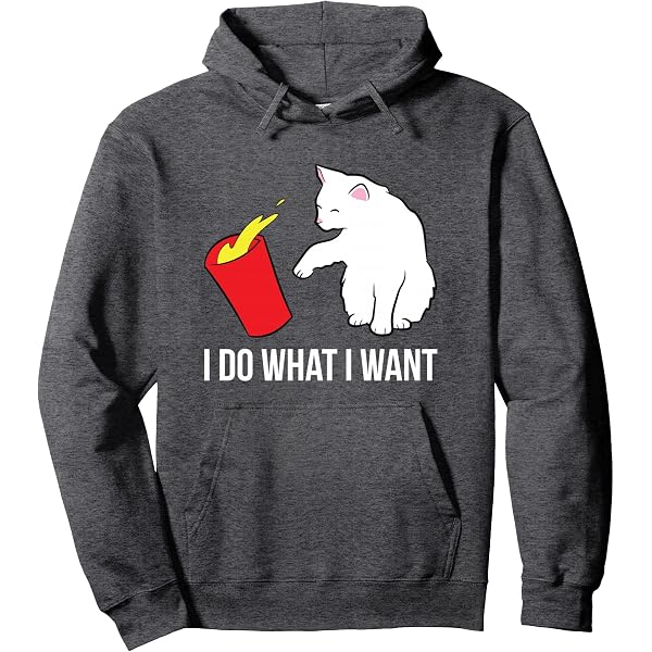 Sweatshirt LGBTQIA+ LGBT Trans Transgenre Lesbienne Drôle Cat Pride - Pull Confortable Arc-en-Ciel