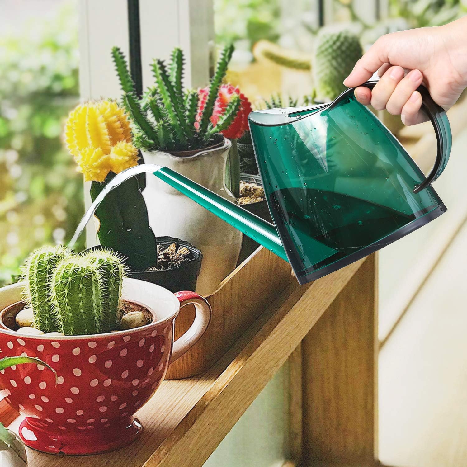 Watering Can, Transparent Long Spout Watering Kettle Nordic Style Garden Watering Pot for Indoor and Outdoor Watering Plants and Potted Flowers (1.4L, Green) : Garden & Outdoor