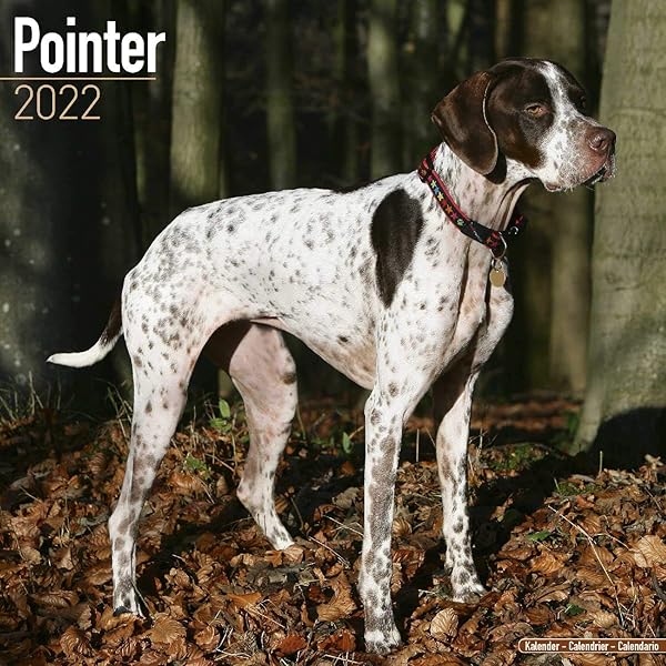 English Pointer Calendar Dog Breed Calendars 2021 2022 Wall Calendars