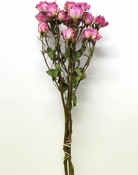 Amazon 花ロジ ドライフラワー スプレーバラ ピーチブラッサム 2 3本 ドライフラワー オンライン通販