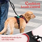 rabbitgoo Dog Harness Small No Pull Reflective Adjustable Vest with 2 Leash view 7