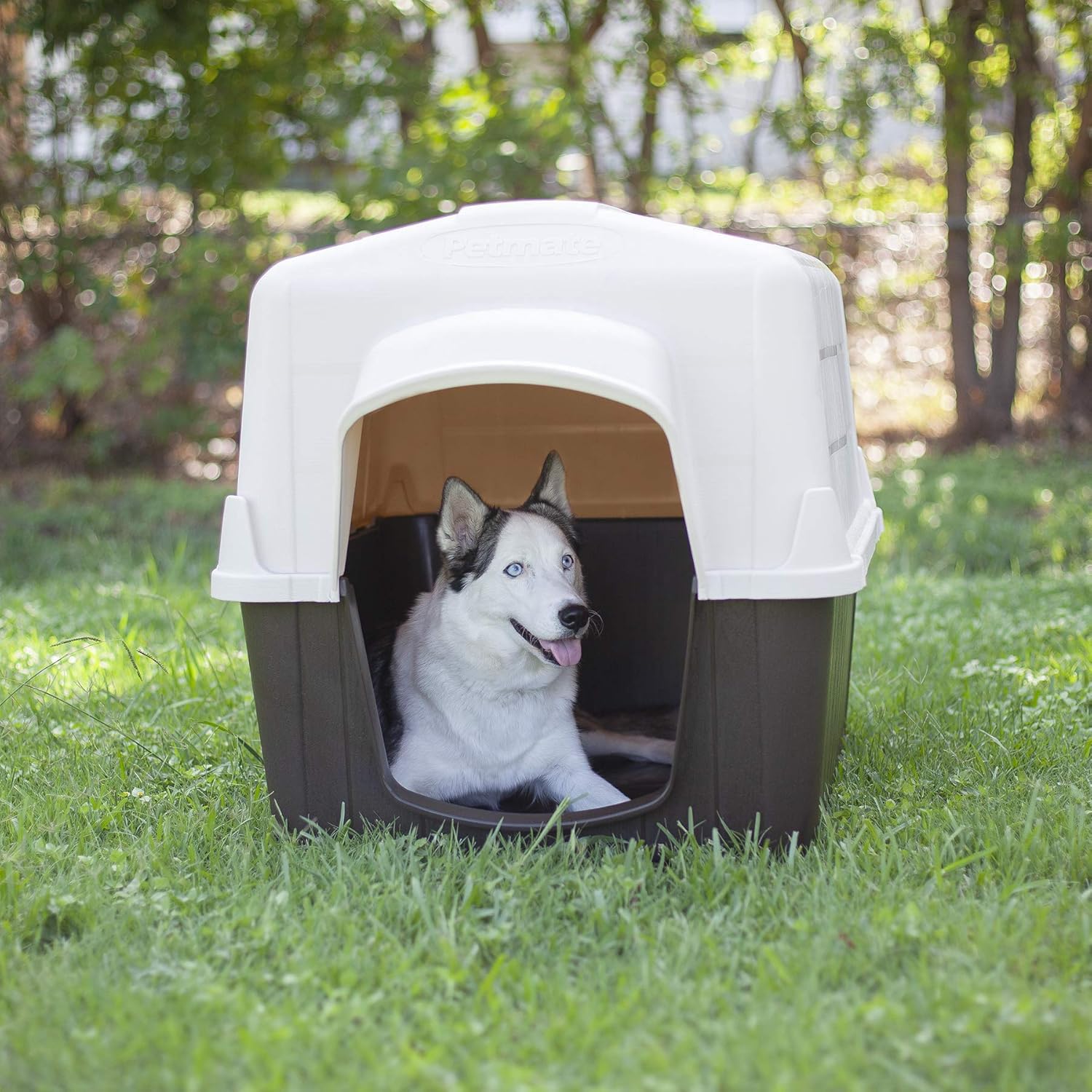Petmate Aspen Pet Petbarn Dog House Snow and Rain Diverting Roof Raised Floor No-Tool Assembly 4 Sizes Available, Multi, UP to 15 LBS : Dog Houses : Pet Supplies