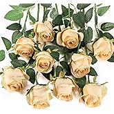 Flojery 10pcs Artificial Rose Flowers Long Stem Fake Silk Roses for DIY Wedding Bouquet Table Centerpiece Home Decor,Champagne