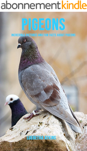 Download Pigeons: Incredible Pictures and Fun Facts about Pigeons (English Edition) PDF