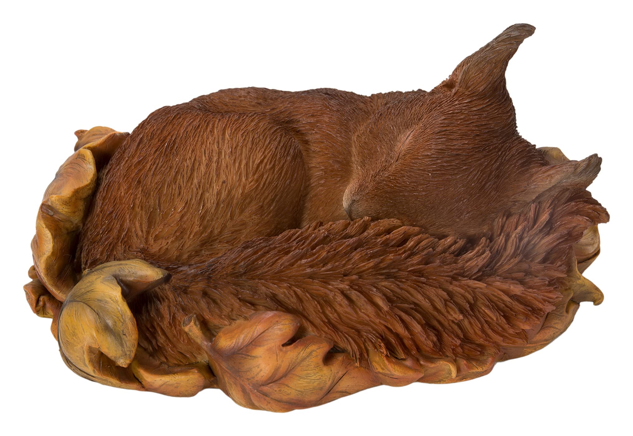 Vivid Arts Sleeping Baby Red Squirrel in Leaf | Resin Home or Garden Decoration | XRL-RS02-F