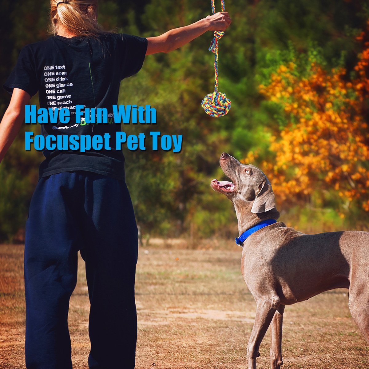 Focuspet Juguetes para Perros Juguetes de Cuerda de 6 Piezas para Perros, Dientes, Entrenamiento IQ para Perros pequeños y medianos