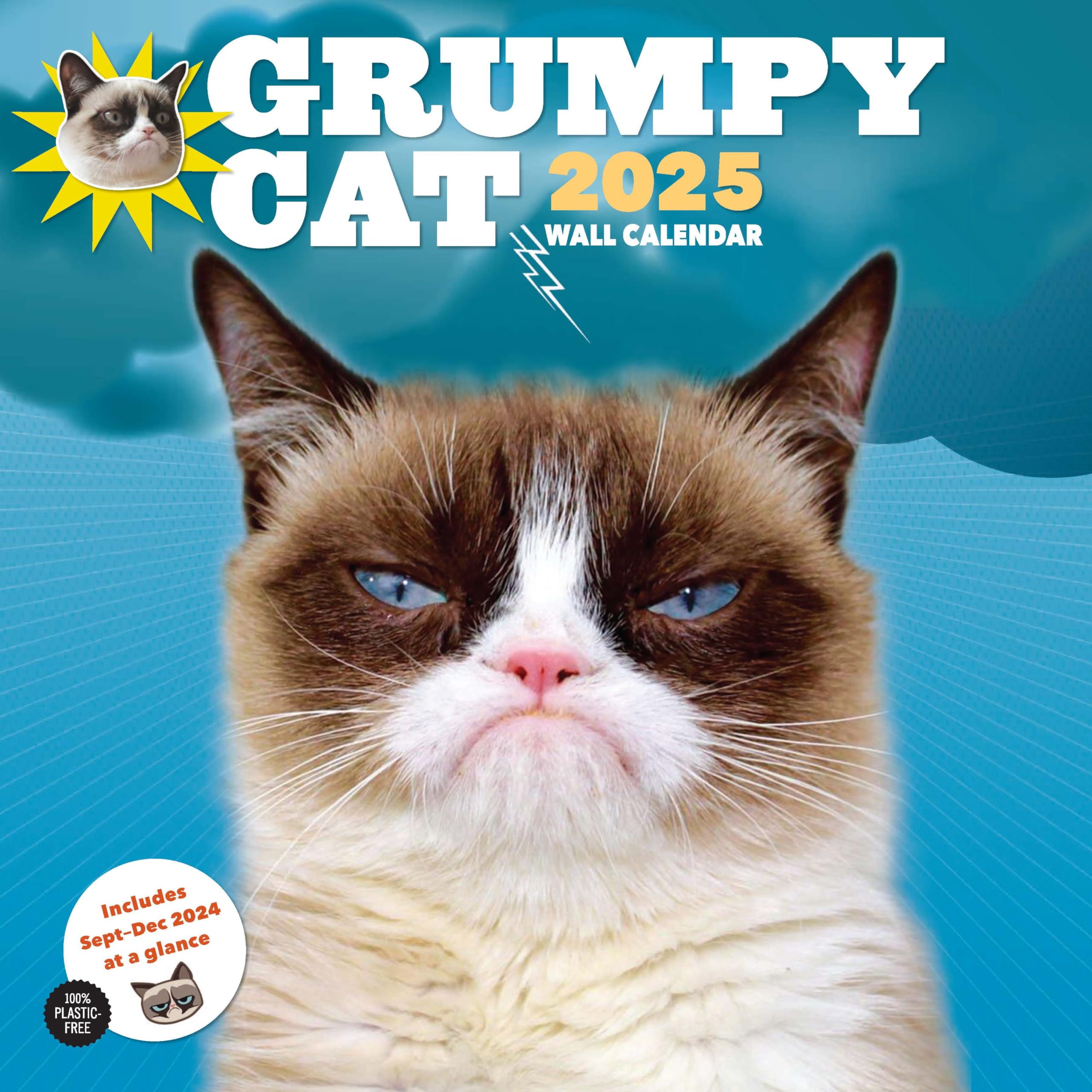 Photo 1 of Grumpy Cat 2025 Wall Calendar