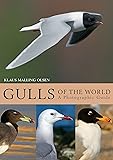 Gulls of the World: A Photographic Guide