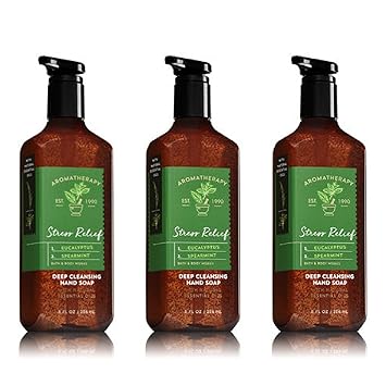 Bath Body Works Aromatherapy Stress Relief Eucalyptus Spearmint Hand Soap 2018 Release