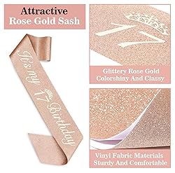 17th Birthday Decorations for Girls Including