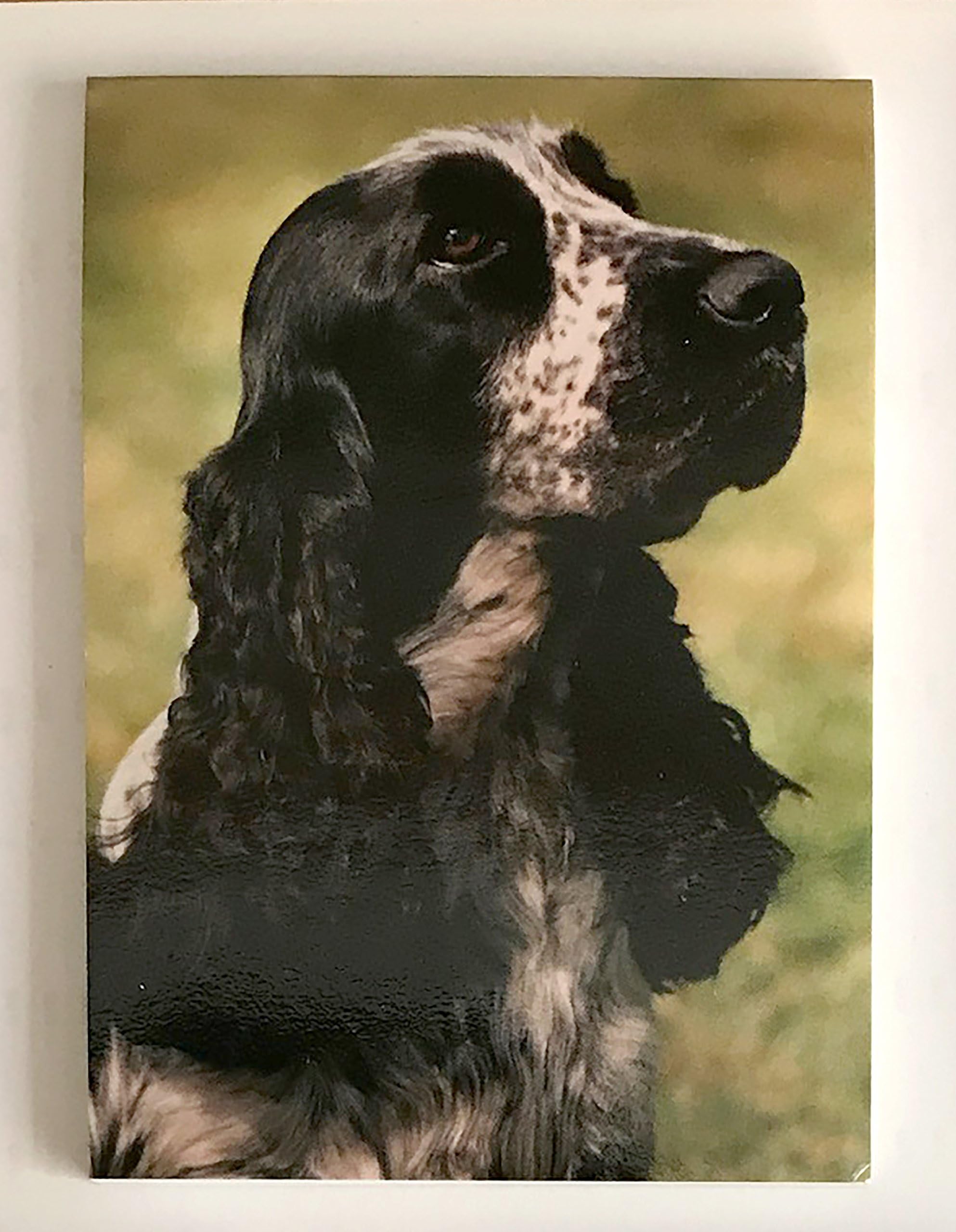 DWG Ltd Cocker Spaniel Blue Roan Magnetic Notepad/Shopping list, size 75mm x 100mm