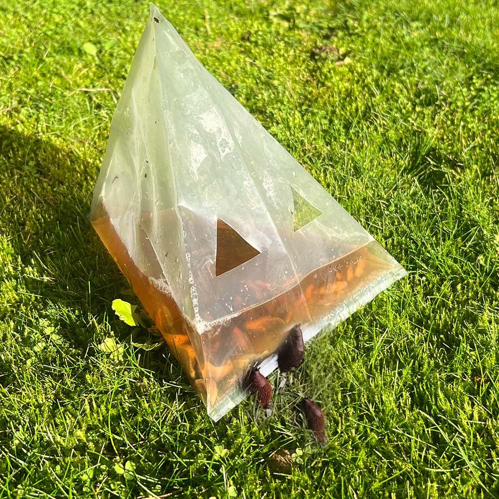Slug Traps 20 Pieces, Recycled Materials, Safe, No Poison