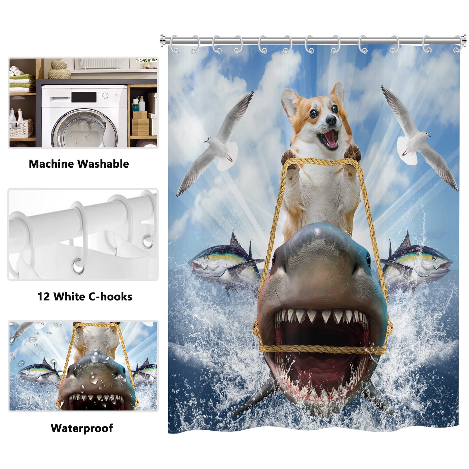 View 6