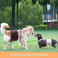 Langsprit Male Belly Bands for Dogs