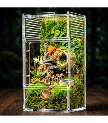 Amazon.com: Exo Terra Glass Terrarium Kit, for Reptiles and