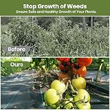 Velway Weed Control Membrane Heavy Duty 1x10M Ground Cover Fabric for Gardens view 6