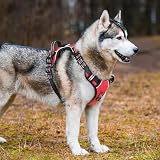HEELE Dog Harness No Pull Medium Reflective Front Back Leash Clips view 7