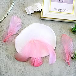 300pcs Pink Feathers 2-3 Inches Bulk Feathers for