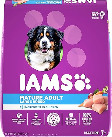 iams proactive health chihuahua