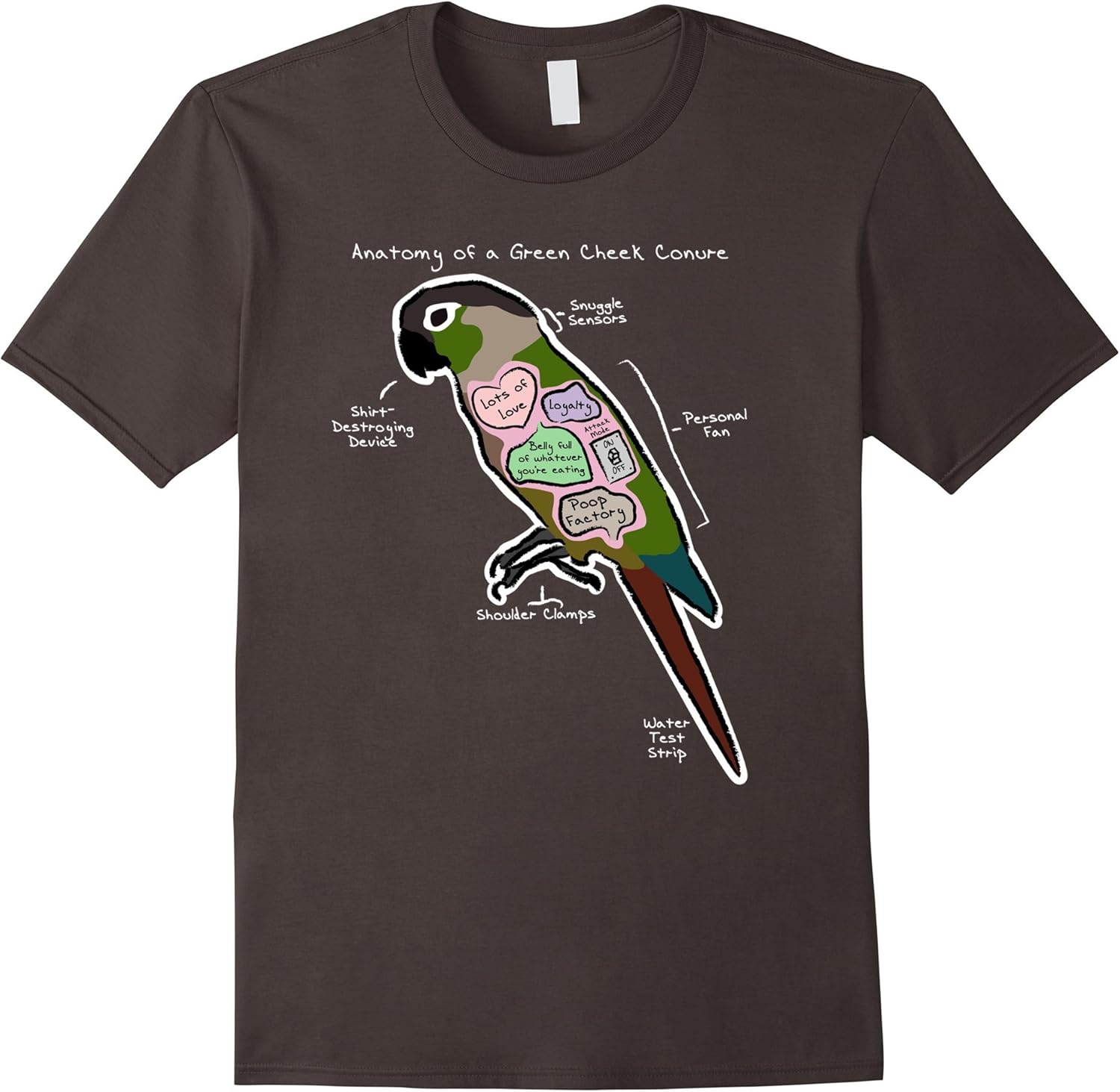 Amazon.com: Anatomy of a Green Cheek Conure - Funny Parrot Shirt: Clothing