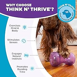 Outward Hound Double Snoop Interactive Treat