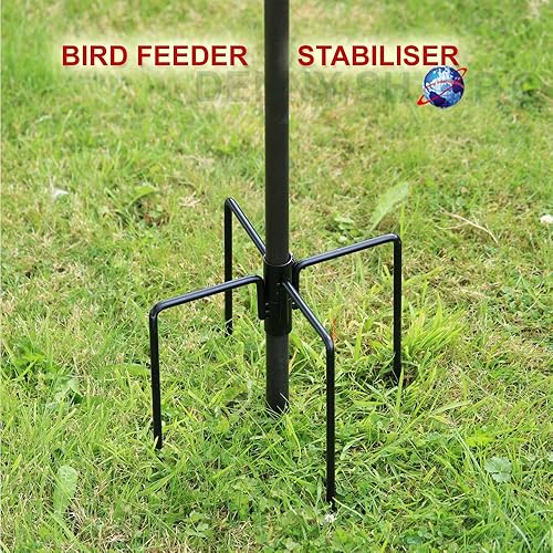 Kingfisher Bird Feeding Station Amazon.co.uk Garden & Outdoors