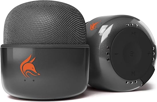 small bluetooth fm radio