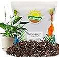 Aroid Plant Potting Soil Mix (8 Quarts), for Pothos Devil's Ivy, ZZ Plant, Chinese Evergreen, Dumb Cane, Philodendron, Syngonium, Alocasia, Colocasia Etc.