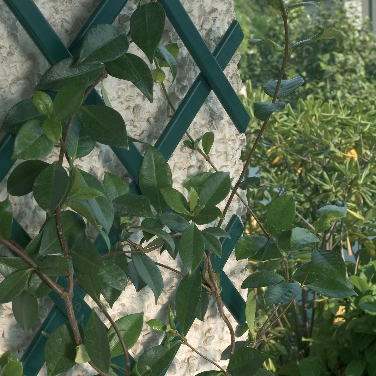 Trepls Extendable PVC Trellis 1,00x1 m green - Image 4